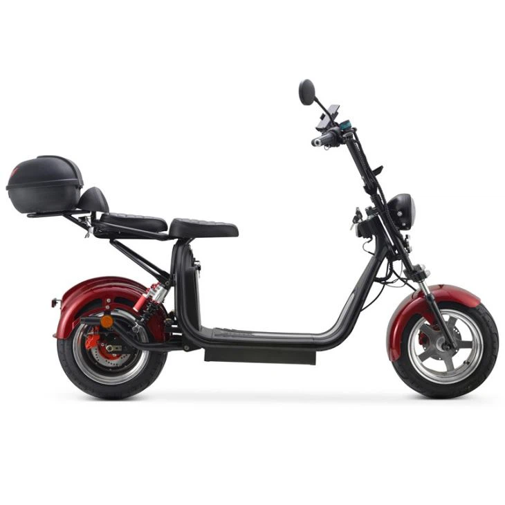 Citycoco 2 Wheel Electric Scooter