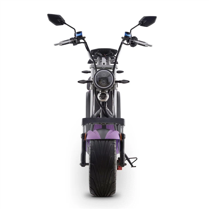 DAYI E-Thor 2.0A EEC 2 Wheel Moped