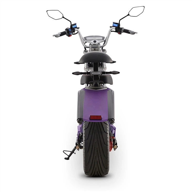 DAYI E-Thor 2.0A EEC 2 Wheel Moped