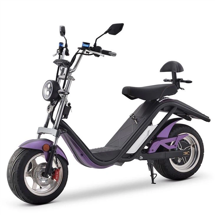 DAYI Stand-up EEC Electric Scooter 25km/h