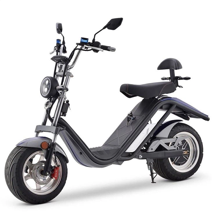 DAYI Stand-up EEC Electric Scooter 25km/h
