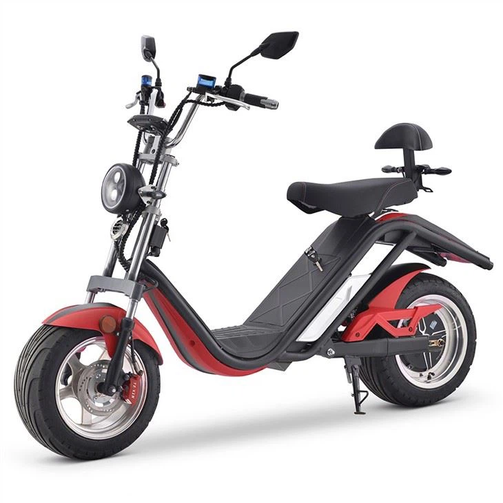 DAYI Stand-up EEC Electric Scooter 25km/h
