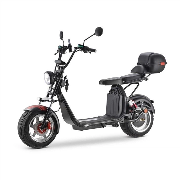 Electric Motorcycle 2021 Electric Scooter EEC Citycoco